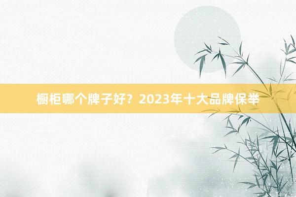 橱柜哪个牌子好？2023年十大品牌保举