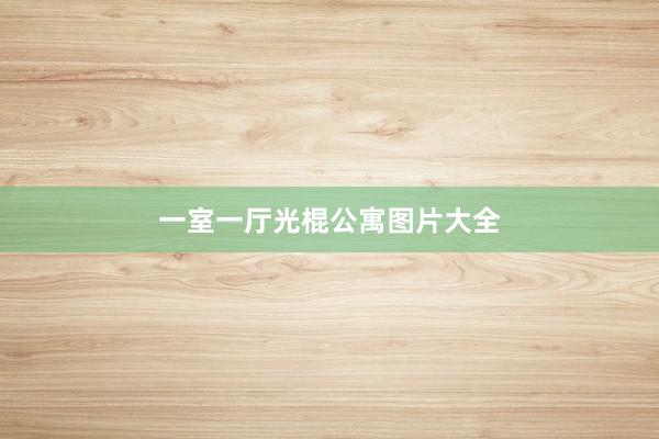 一室一厅光棍公寓图片大全